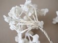 画像4: アンティーク  ベルベットの布花 ホワイト