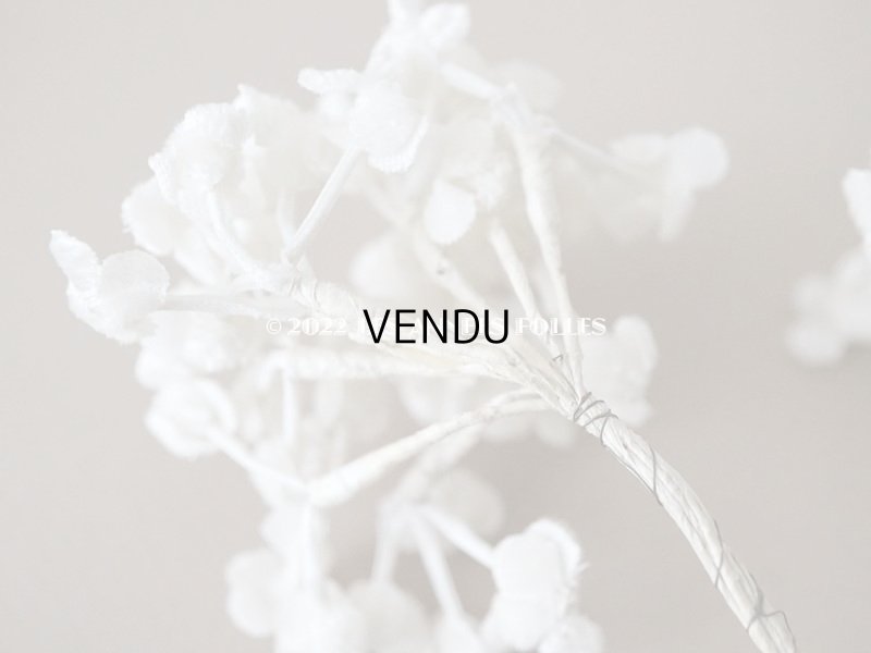 画像4: アンティーク  ベルベットの布花 ホワイト