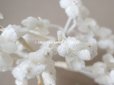 画像6: アンティーク  ベルベットの布花 ホワイト