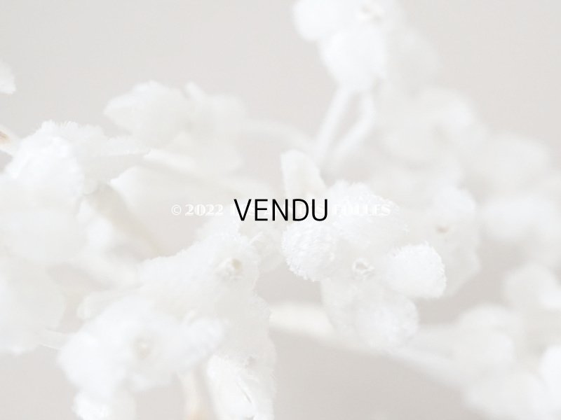 画像6: アンティーク  ベルベットの布花 ホワイト