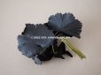 画像4: アンティーク ベルベットの布花　黒 (4)