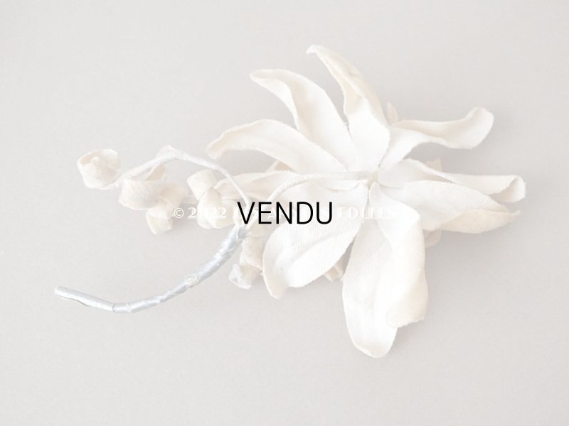 画像6: 1930年代 アンティーク  エーデルワイスの布花