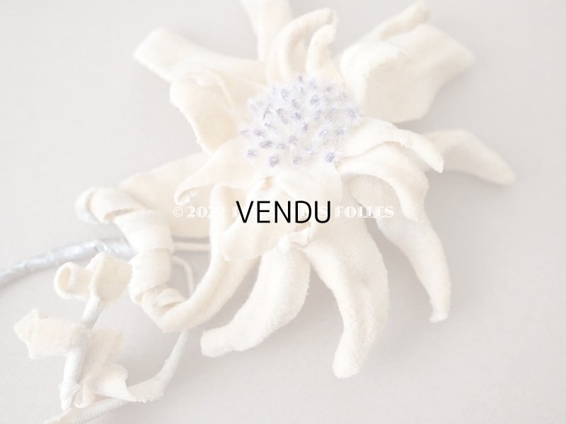 画像5: 1930年代 アンティーク  エーデルワイスの布花