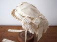 画像9: 19世紀末 アンティーク 小さな女の子用 帽子 オフホワイト 大きなリボン&フリンジ