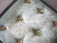 画像12: 【12周年セール対象外】19世紀 アンティーク 大きなコフレ グローブ・ド・マリエ　ジュエリーボックス グリーンのシルククッション