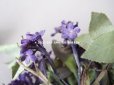 画像9: 【12周年セール対象外】アンティーク  紫の勿忘草の布花 