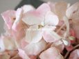 画像5: 【12周年セール対象外】アンティーク 紫陽花の布花　淡いピンク (5)