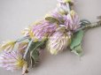画像4: アンティーク  ムラサキツメクサの布花 シロツメクサ 白詰草 (4)