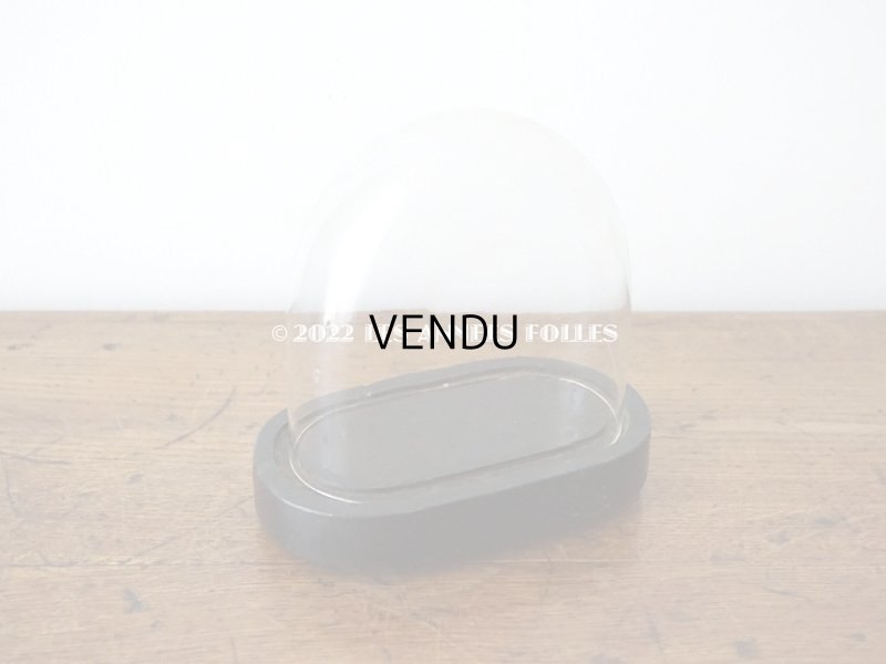 画像4:  アンティーク 小さなガラスドーム