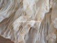 画像17: 1900年頃　アンティーク ウエディングドレスのスカート　シルクシフォンのプリーツ