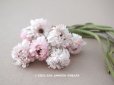 画像1: アンティーク 白詰草の布花　 (1)