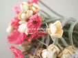 画像6: アンティーク フランス国花の布花 矢車菊＆ヒナゲシ＆マーガレット