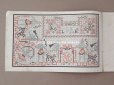 画像5: 1850年代 アンティーク SAJOU  刺繍図案帳 DESSINS DE BRODERIES 139 - SAJOU PARIS -