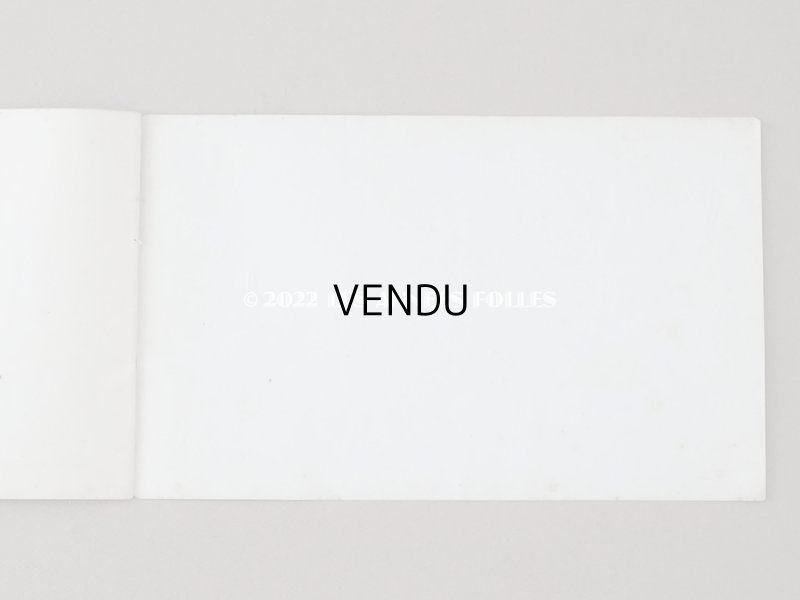 画像12: 1850年代 アンティーク SAJOU  刺繍図案帳 DESSINS DE BRODERIES 139 - SAJOU PARIS -