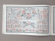 画像7: 1850年代 アンティーク SAJOU  刺繍図案帳 DESSINS DE BRODERIES 139 - SAJOU PARIS -