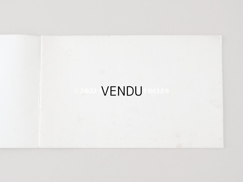 画像3: 1850年代 アンティーク SAJOU  刺繍図案帳 DESSINS DE BRODERIES 139 - SAJOU PARIS -