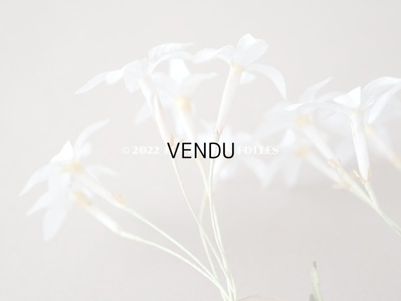 画像15: 19世紀 アンティーク 白い布花 