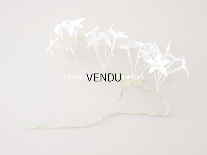 画像3: 19世紀 アンティーク 白い布花 