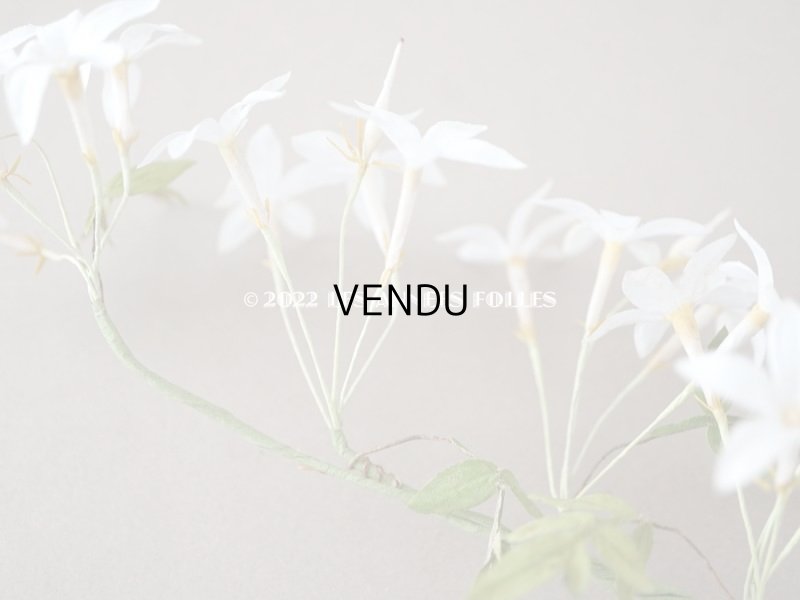 画像4: 19世紀 アンティーク 白い布花 