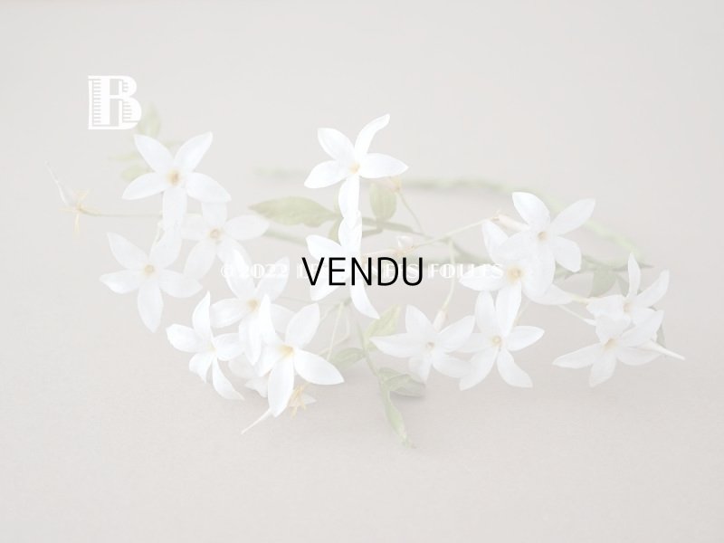 画像6: 19世紀 アンティーク 白い布花 