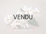 19世紀 アンティーク 白い布花 ワックスフラワー