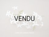 19世紀 アンティーク 白い布花 