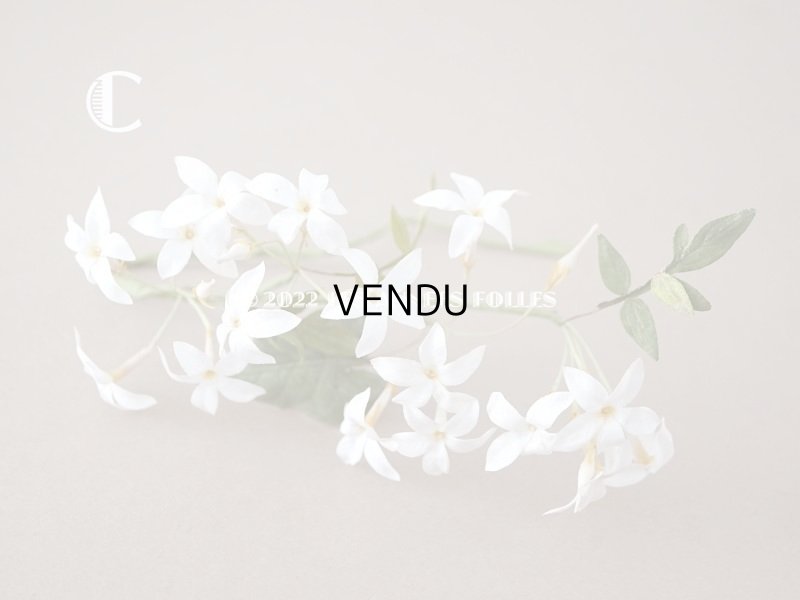 画像9: 19世紀 アンティーク 白い布花 