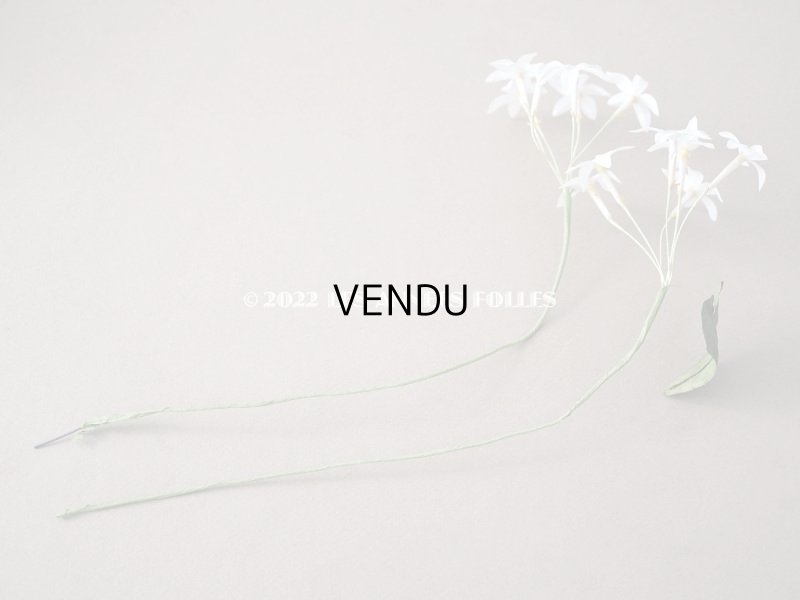 画像16: 19世紀 アンティーク 白い布花 