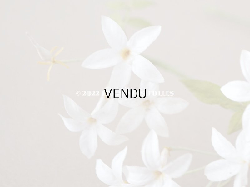 画像8: 19世紀 アンティーク 白い布花 