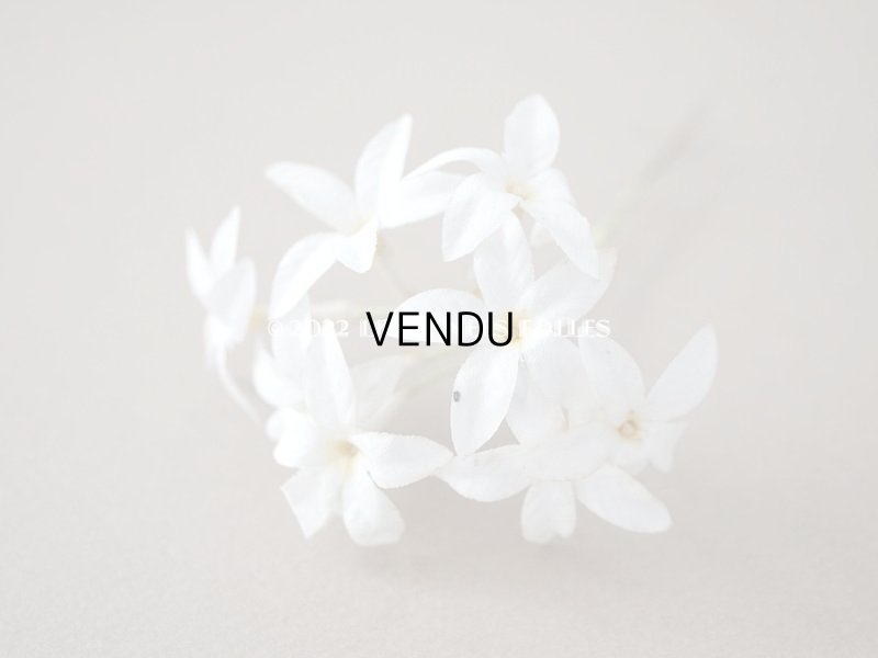 画像18: 19世紀 アンティーク 白い布花 