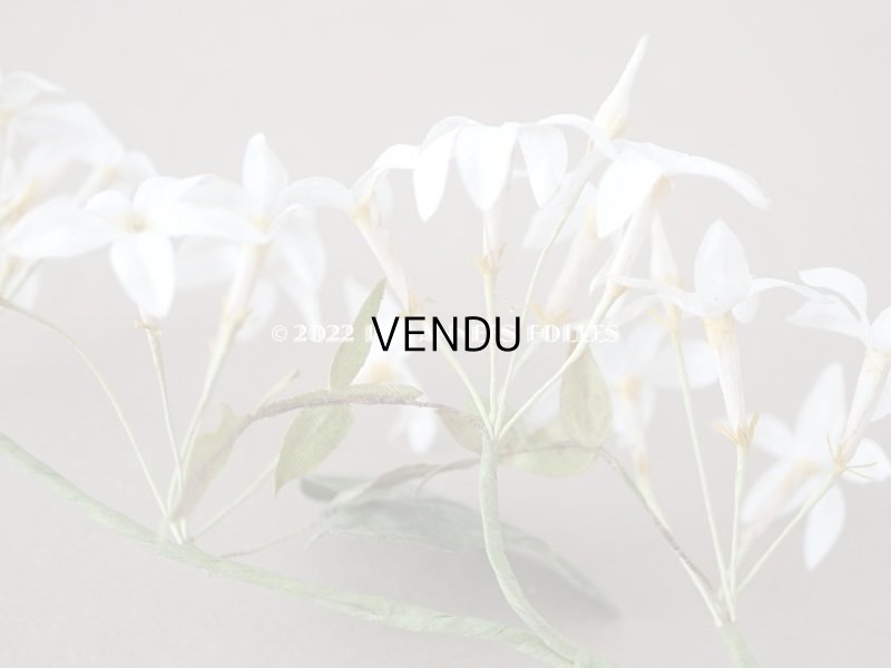 画像12: 19世紀 アンティーク 白い布花 