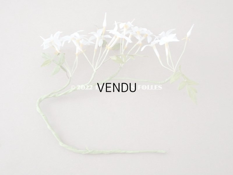 画像7: 19世紀 アンティーク 白い布花 