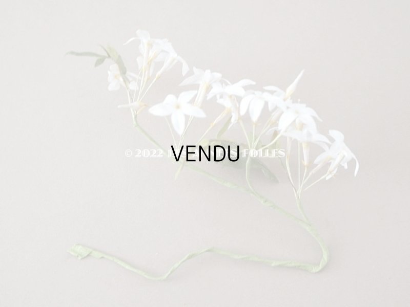 画像11: 19世紀 アンティーク 白い布花 