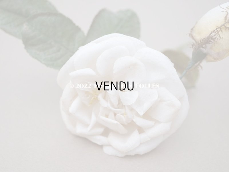 画像11: 19世紀 アンティーク 白薔薇の布花 