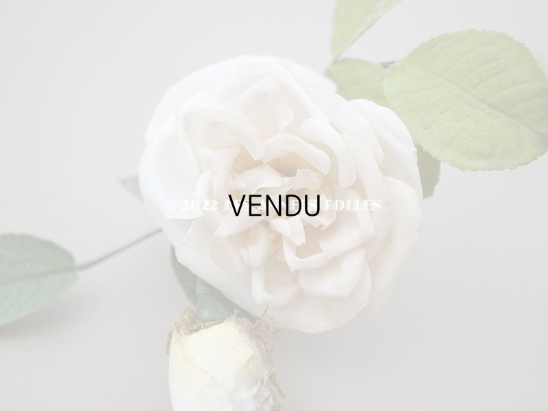 画像7: 19世紀 アンティーク 白薔薇の布花 