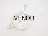19世紀 アンティーク 白薔薇の布花 