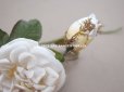 画像12: 19世紀 アンティーク 白薔薇の布花 