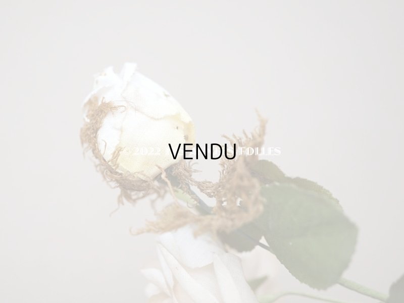 画像5: 19世紀 アンティーク 白薔薇の布花 