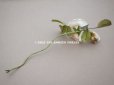 画像9: 19世紀 アンティーク 白薔薇の布花 