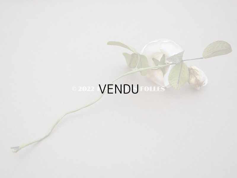 画像9: 19世紀 アンティーク 白薔薇の布花 