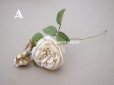 画像2: 19世紀 アンティーク 白薔薇の布花  (2)