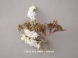 画像1: アンティーク 白い布花 秋色のリーフ (1)
