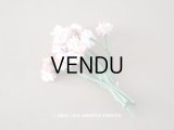 アンティーク  デイジーの布花 