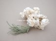 画像3: 【クリスマスセール2022対象外】1900年代 アンティーク ベルベット製 白菫の布花 パルマスミレ (3)