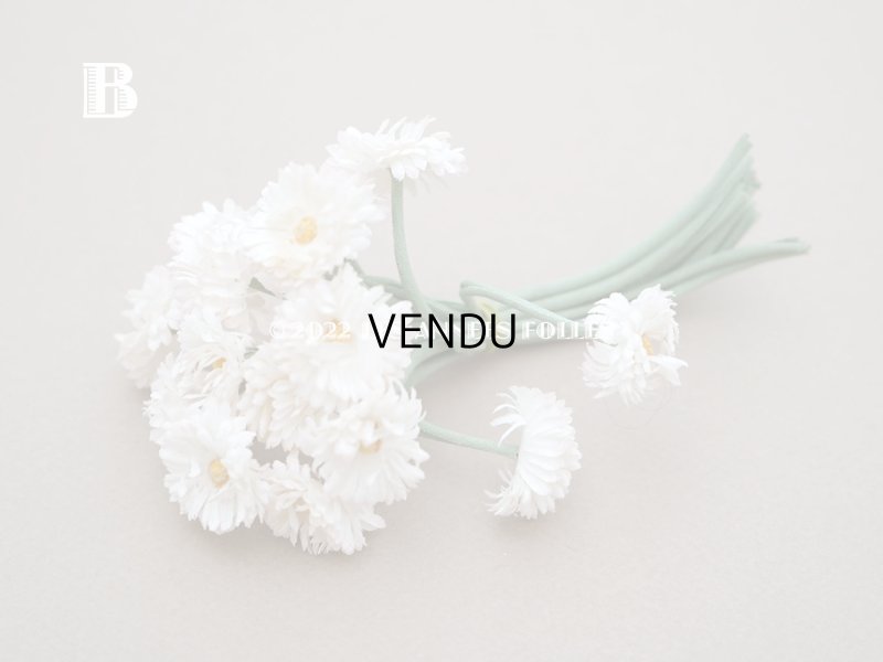 画像5: 【クリスマスセール2022対象外】アンティーク  デイジーの布花