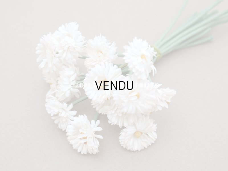 画像4: 【クリスマスセール2022対象外】アンティーク  デイジーの布花