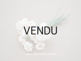 【クリスマスセール2022対象外】アンティーク  デイジーの布花 
