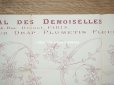画像4: 19世紀末 アンティーク 大きな刺繍図案 65×50cm - JOURNAL DES DEMOISELLES -