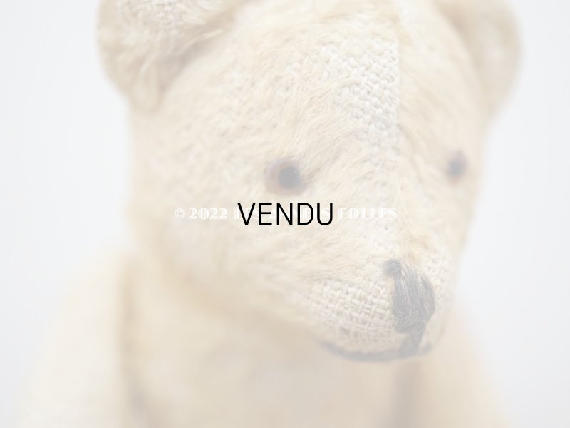 画像5: アンティーク とても小さなベア グラスアイ　ベージュ