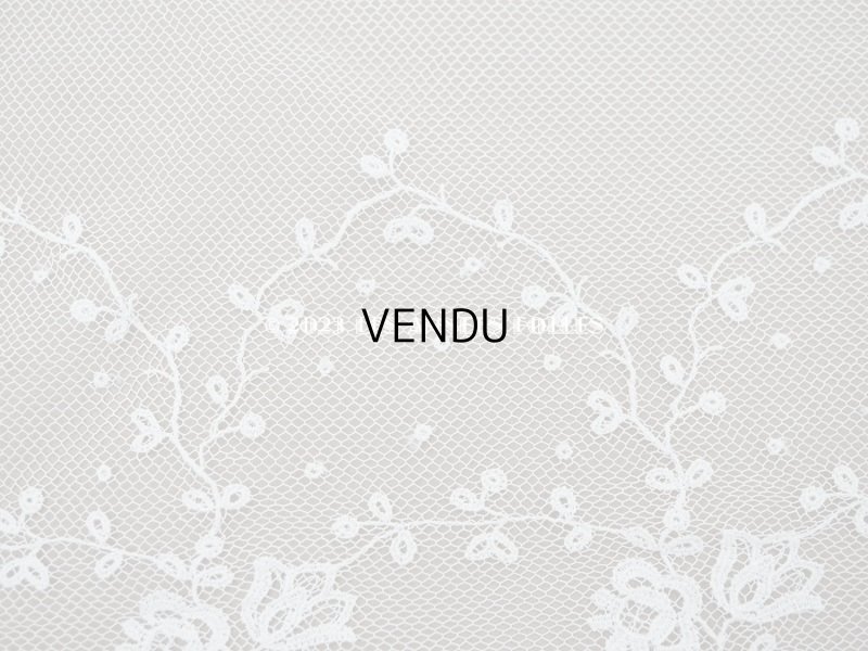 画像6: アンティーク 花の刺繍入り 幅広レース アイボリー　43cm 幅28cm